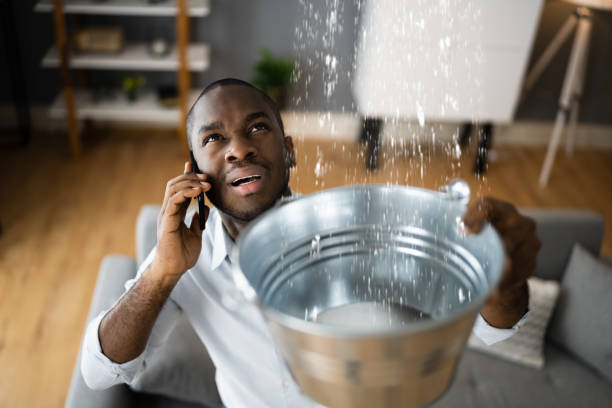 Best 24-hour water damage restoration  in Walnutport, PA