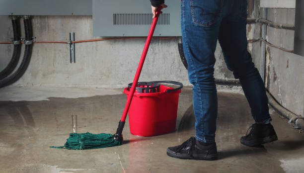 Best Basement water damage restoration  in Walnutport, PA