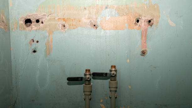 Best Water damage restoration near me  in Walnutport, PA