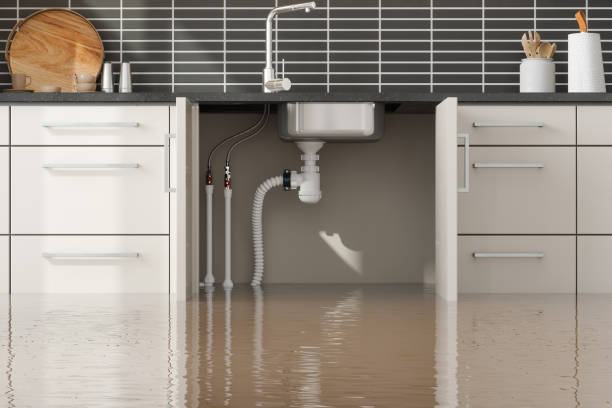 Best Water damage repair service  in Walnutport, PA