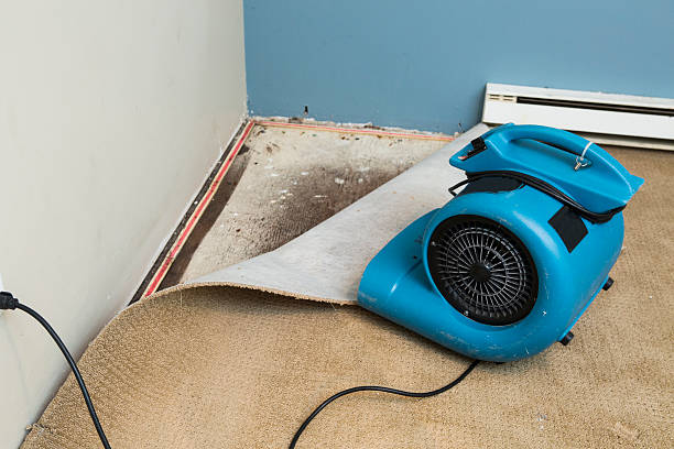 Best Commercial water damage restoration  in Walnutport, PA